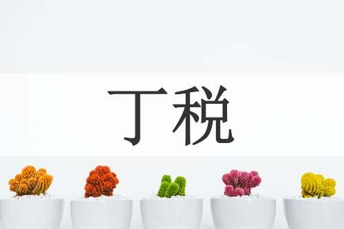 丁税