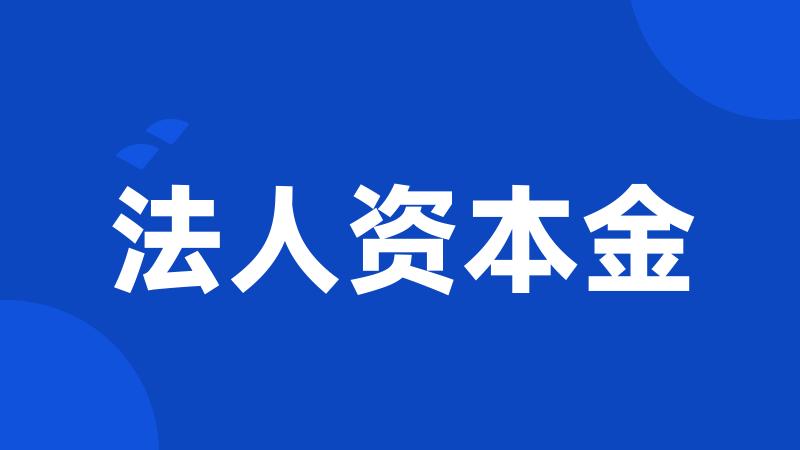 法人资本金