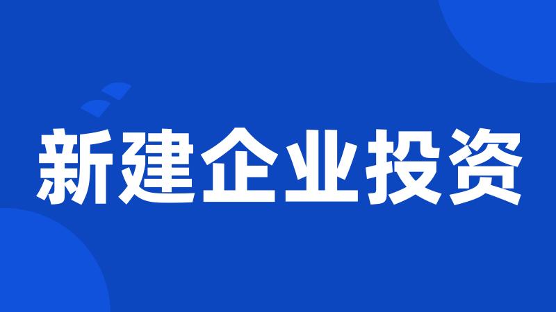 新建企业投资