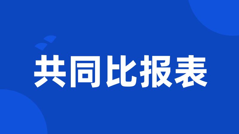 共同比报表