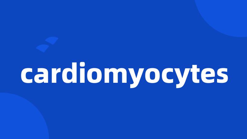 cardiomyocytes