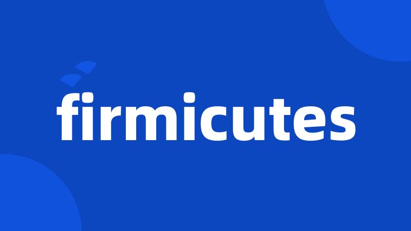 firmicutes