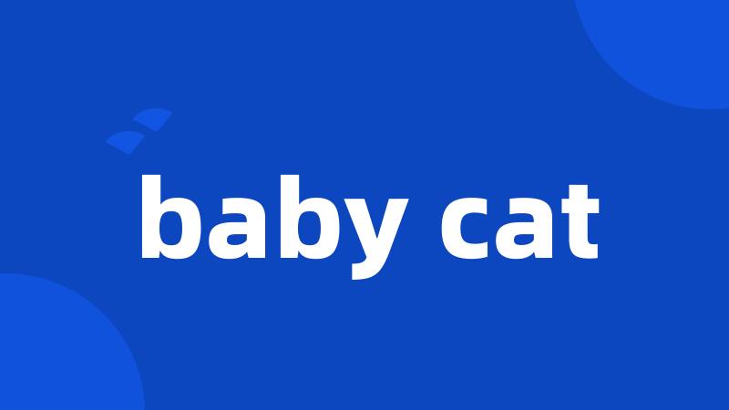 baby cat