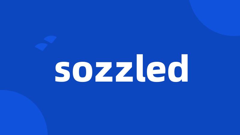 sozzled