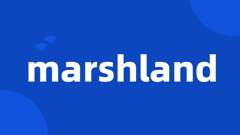 marshland