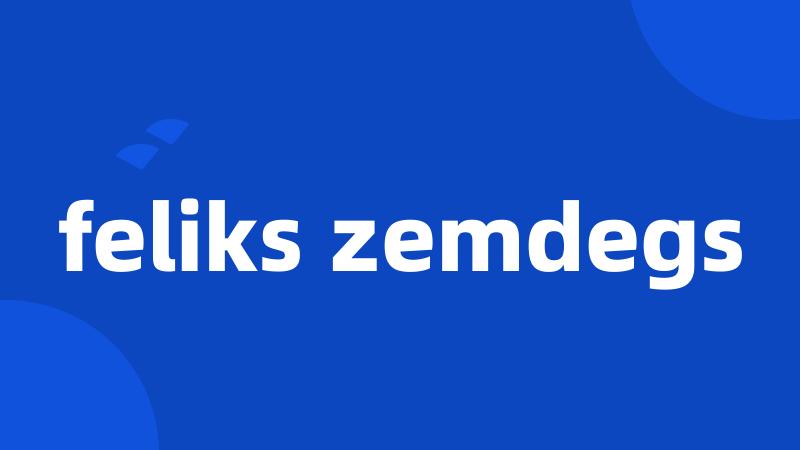 feliks zemdegs