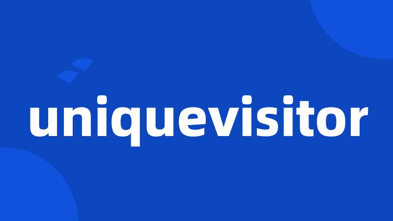 uniquevisitor