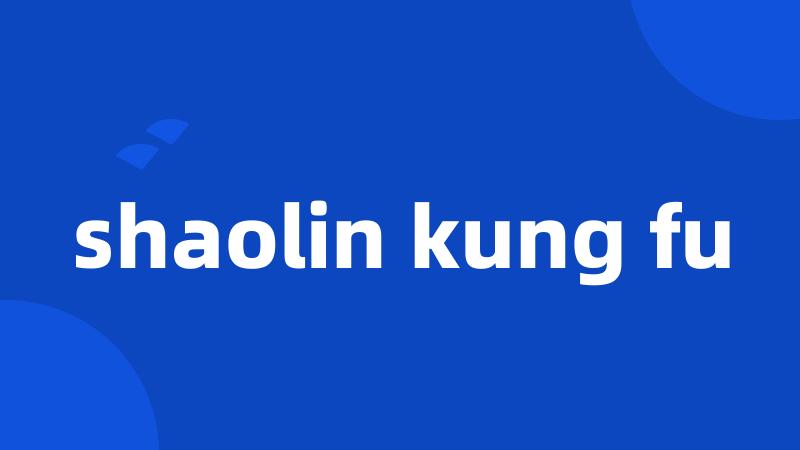 shaolin kung fu