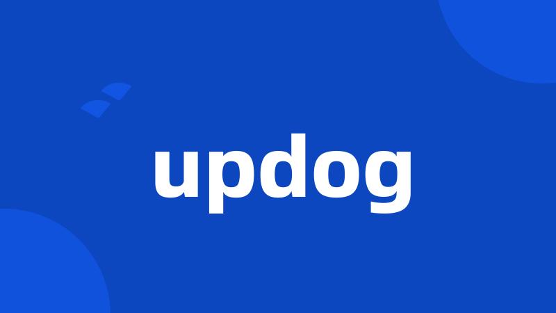 updog