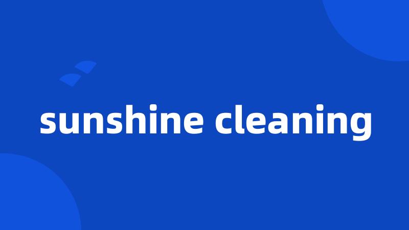 sunshine cleaning