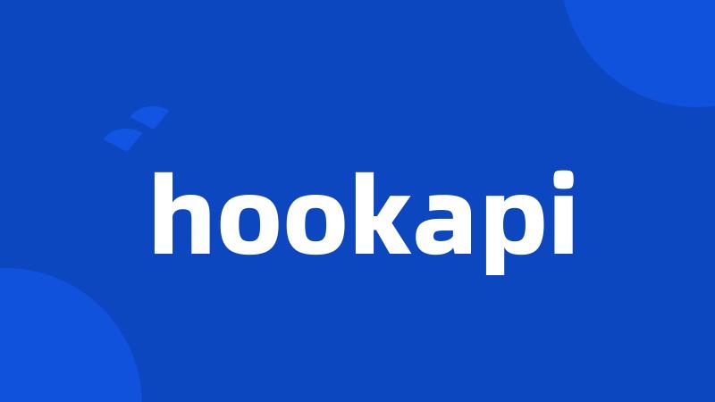 hookapi