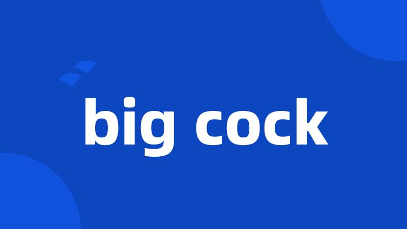 big cock