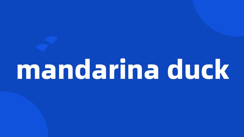 mandarina duck