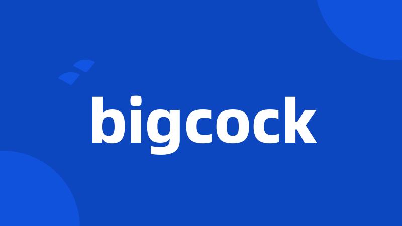 bigcock