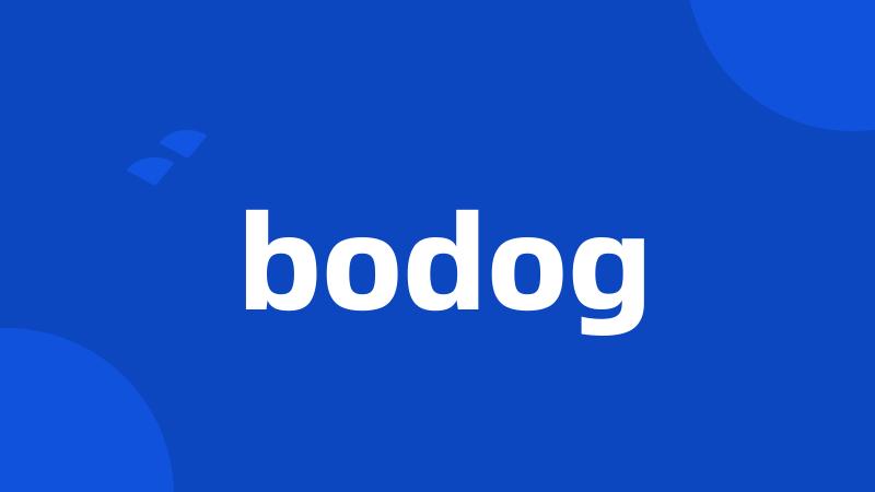 bodog