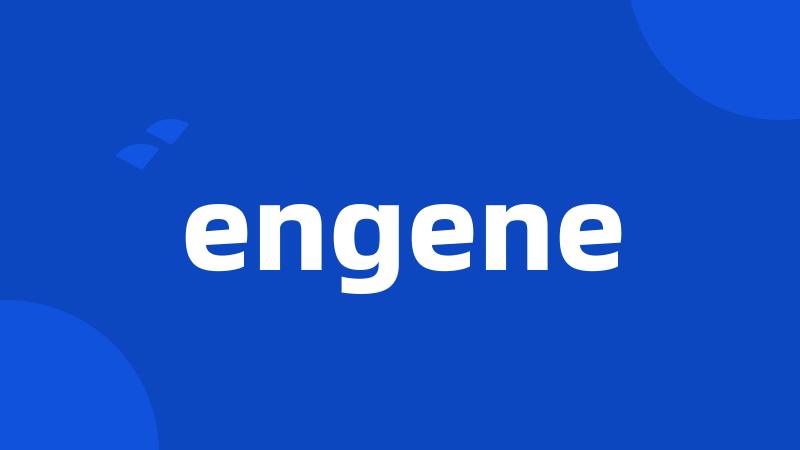 engene