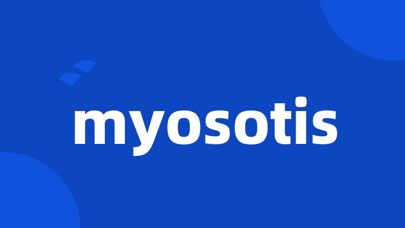 myosotis