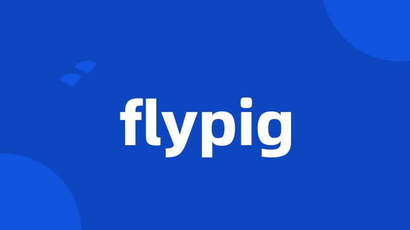 flypig