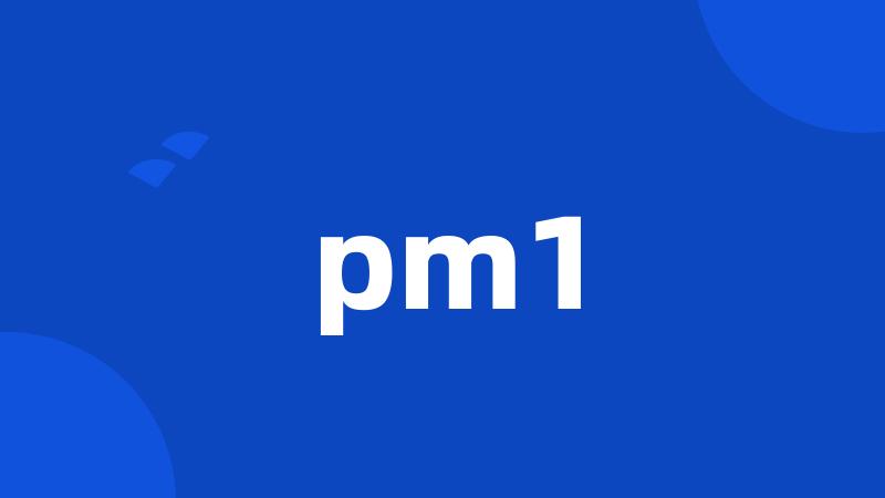 pm1