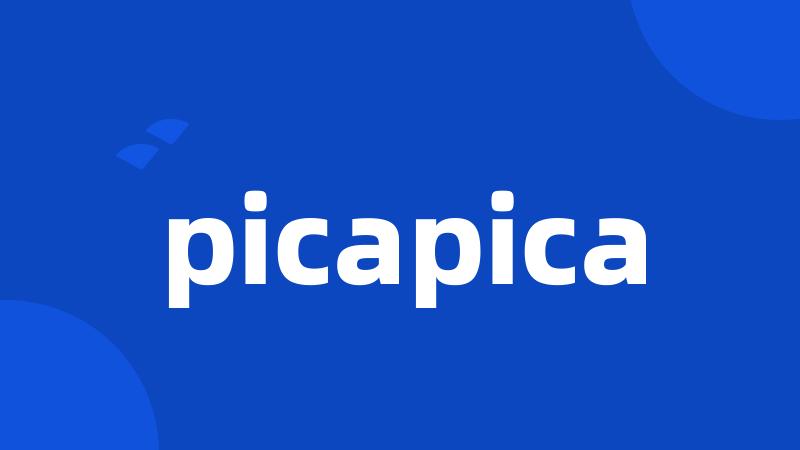 picapica