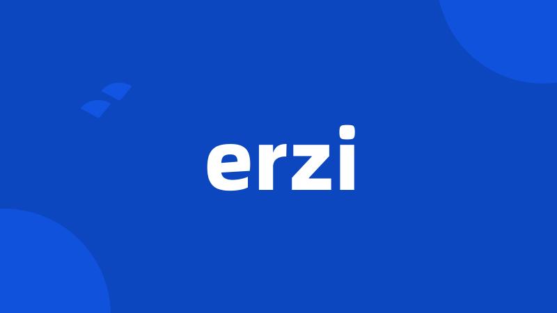 erzi