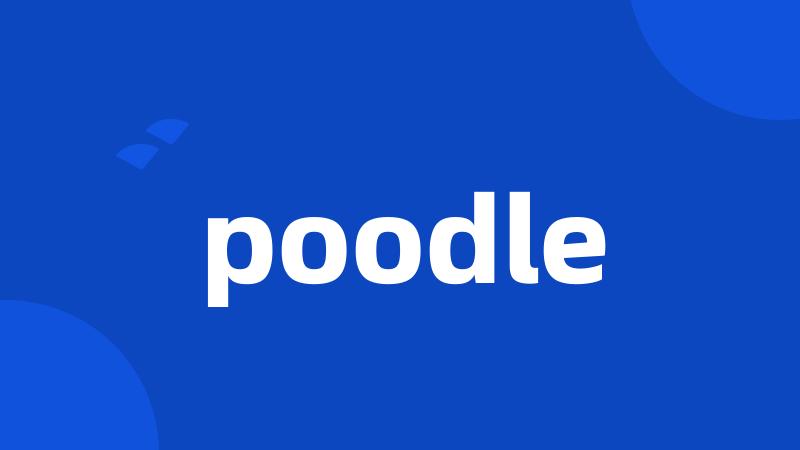 poodle