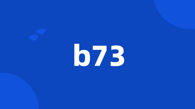 b73