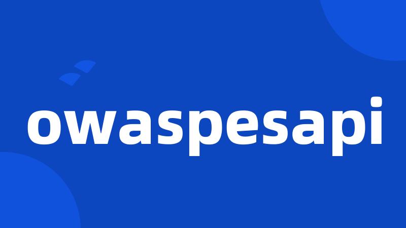 owaspesapi