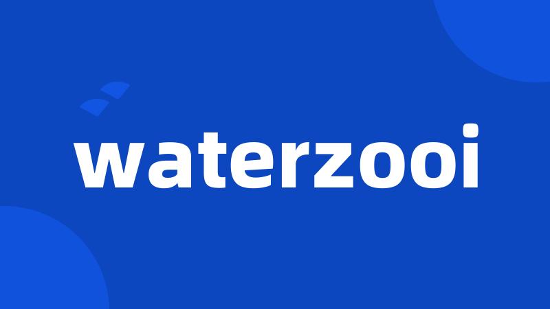 waterzooi