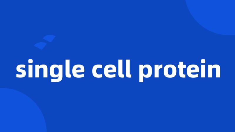 single cell protein