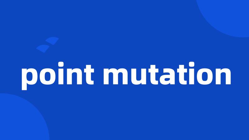 point mutation