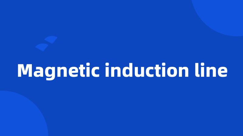 Magnetic induction line