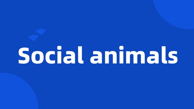 Social animals