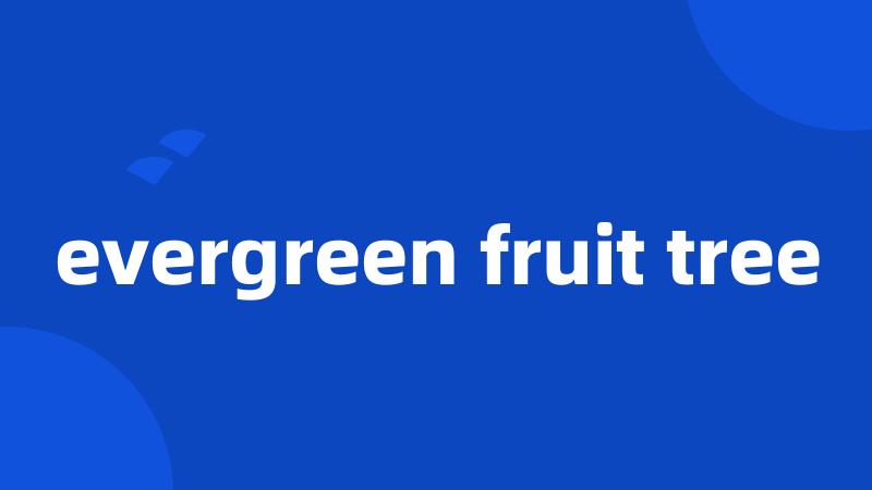 evergreen fruit tree