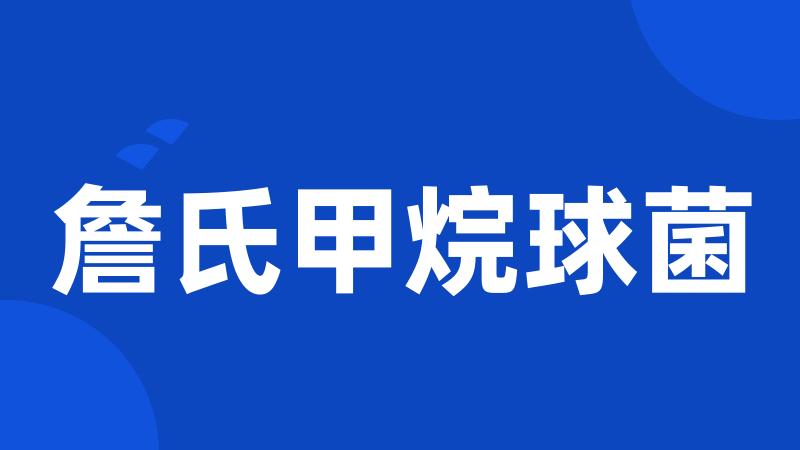 詹氏甲烷球菌