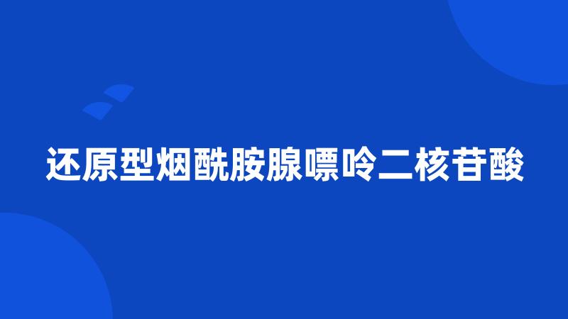 还原型烟酰胺腺嘌呤二核苷酸