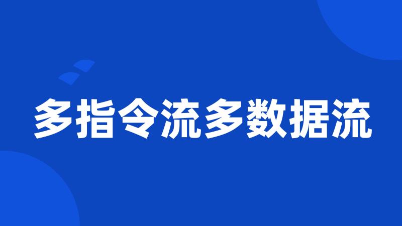 多指令流多数据流