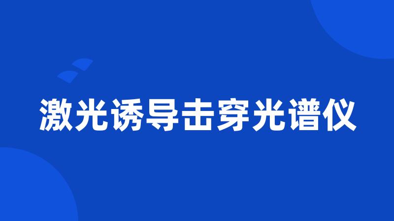 激光诱导击穿光谱仪