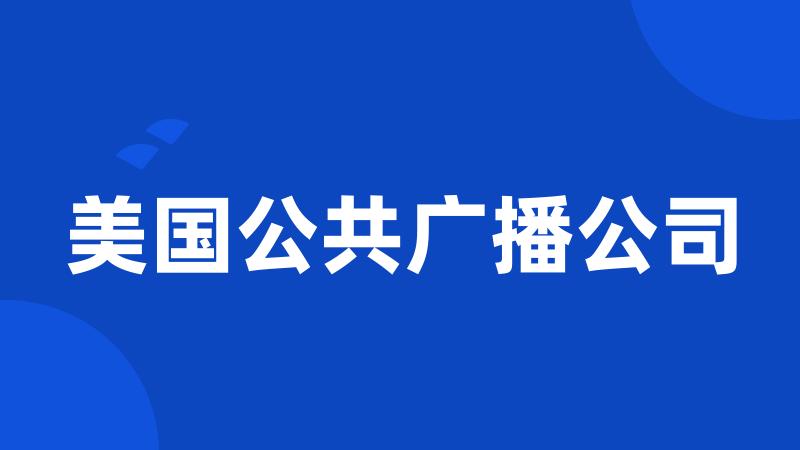 美国公共广播公司