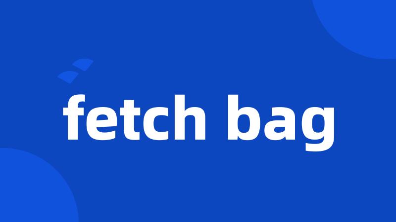 fetch bag