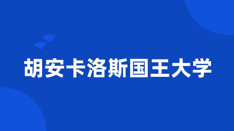 胡安卡洛斯国王大学