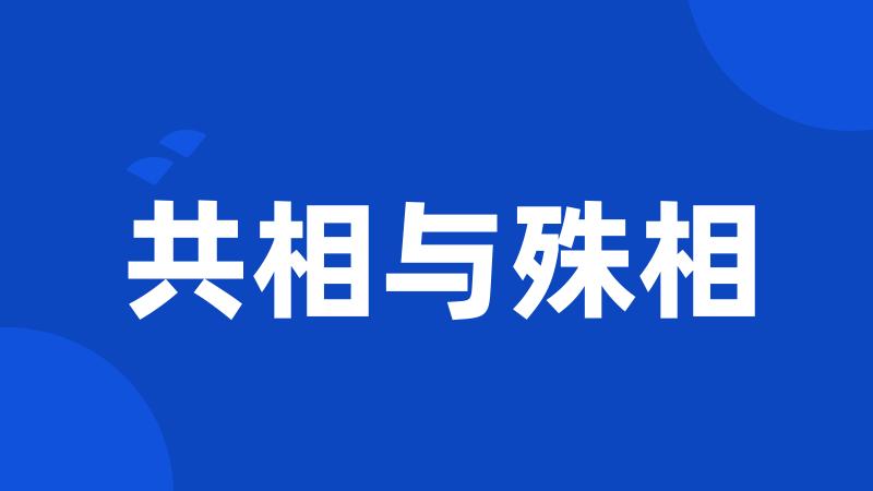 共相与殊相