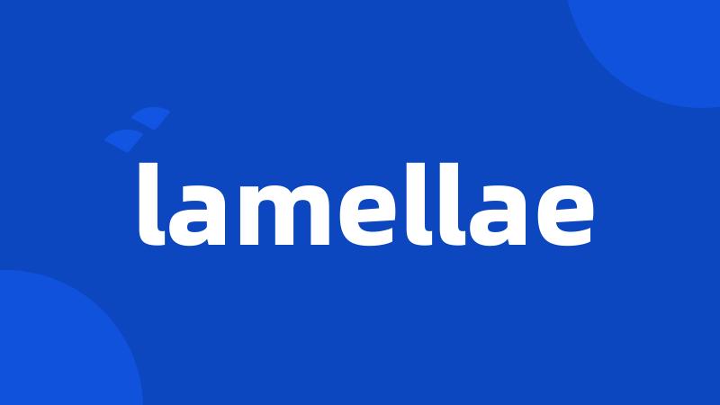 lamellae