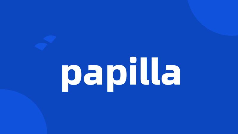 papilla