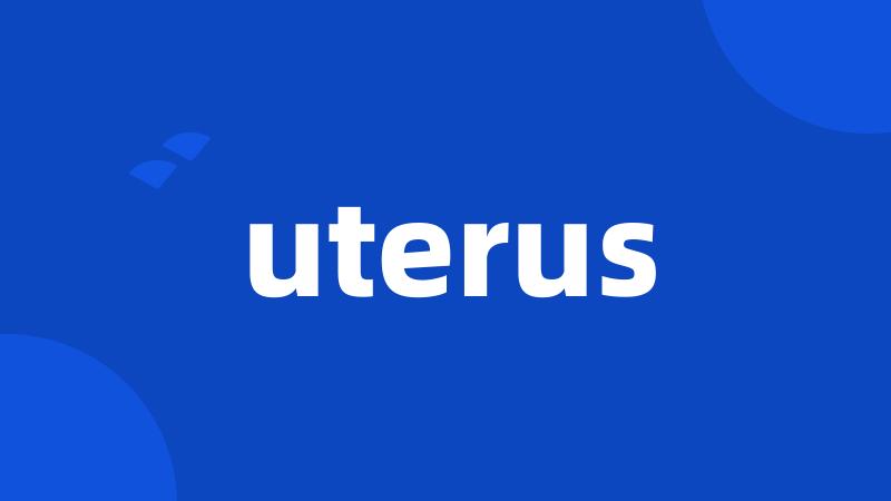 uterus