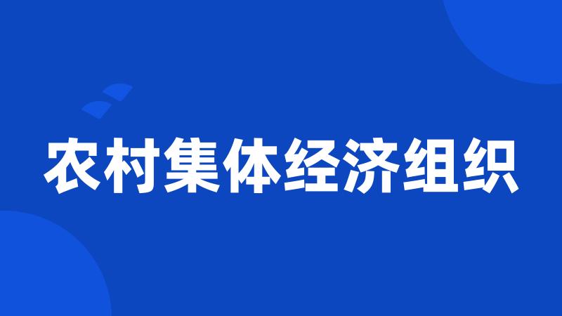 农村集体经济组织