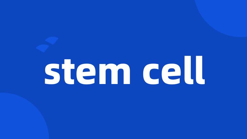 stem cell