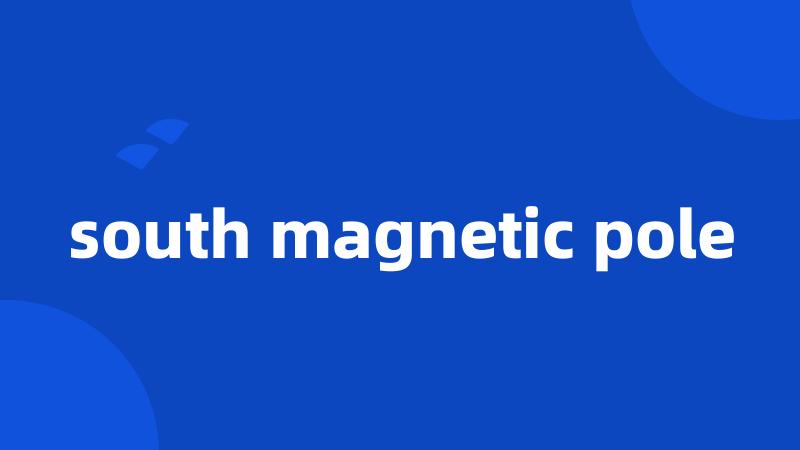 south magnetic pole