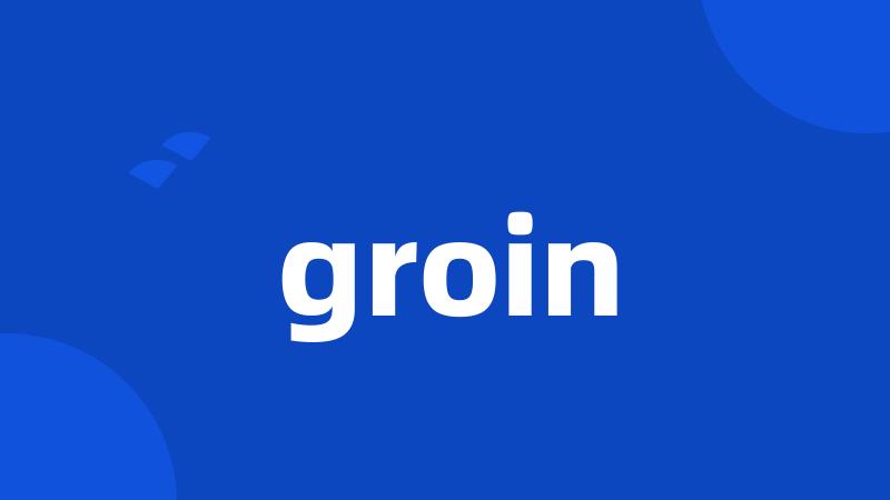 groin