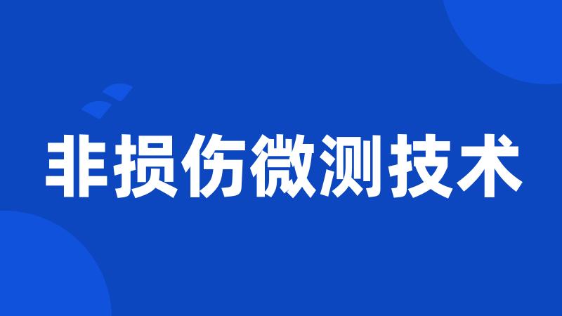 非损伤微测技术